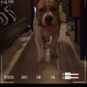 Meet your Posher, Superangelsworld